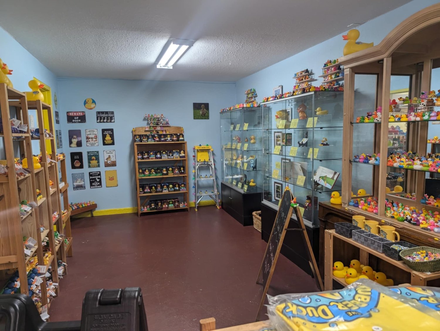 The Rubber Duck Museum Home